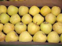 Manzanas