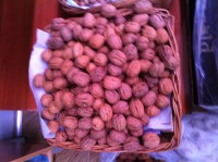 /album/fotogaleria/img-2039-jpg/