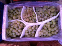 /album/fotogaleria/img-2041-jpg/