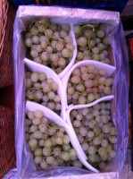Uva Moscatel
